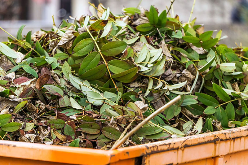  Scarti del verde